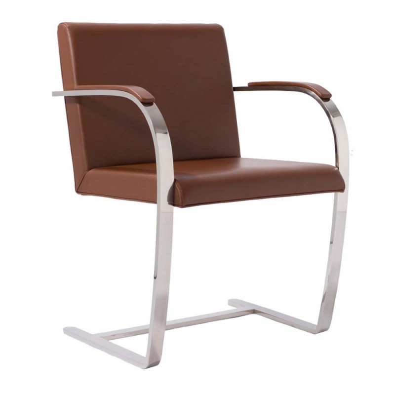 BRNO Ludwig Mies Van der Rohe