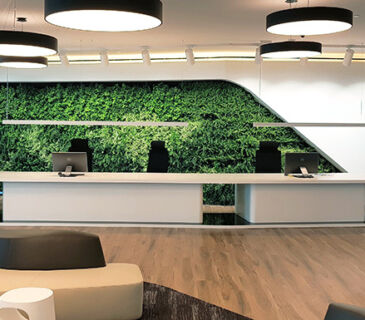 banner-decorando-a-recepcao-soline-blog