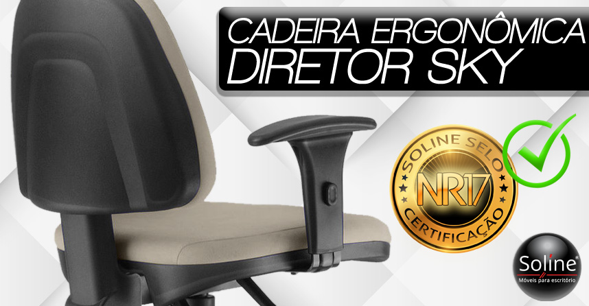 Cadeira Ergonômica Diretor Sky NR17