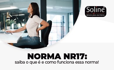 Como funciona e o que é Norma NR17