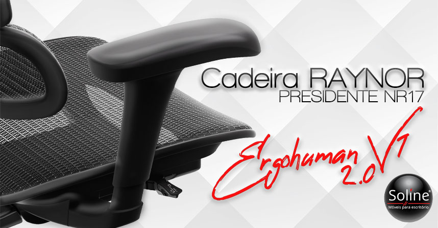 cadeira presidente ergohuman Ergonômica NR17 