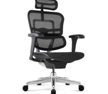 Cadeira-Ergohuman-Raynor-Presidente-NR17-01-445×485-1