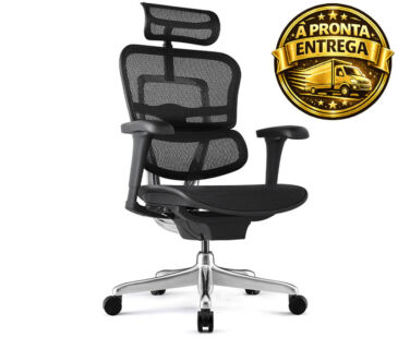 Cadeira Ergohuman Raynor Presidente NR17 com design ergonômico, encosto em mesh, apoio lombar ajustável e base giratória.