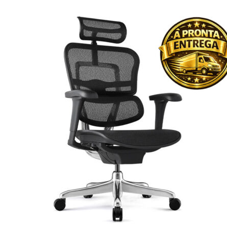 Cadeira Ergohuman Raynor Presidente NR17 com design ergonômico, encosto em mesh, apoio lombar ajustável e base giratória.